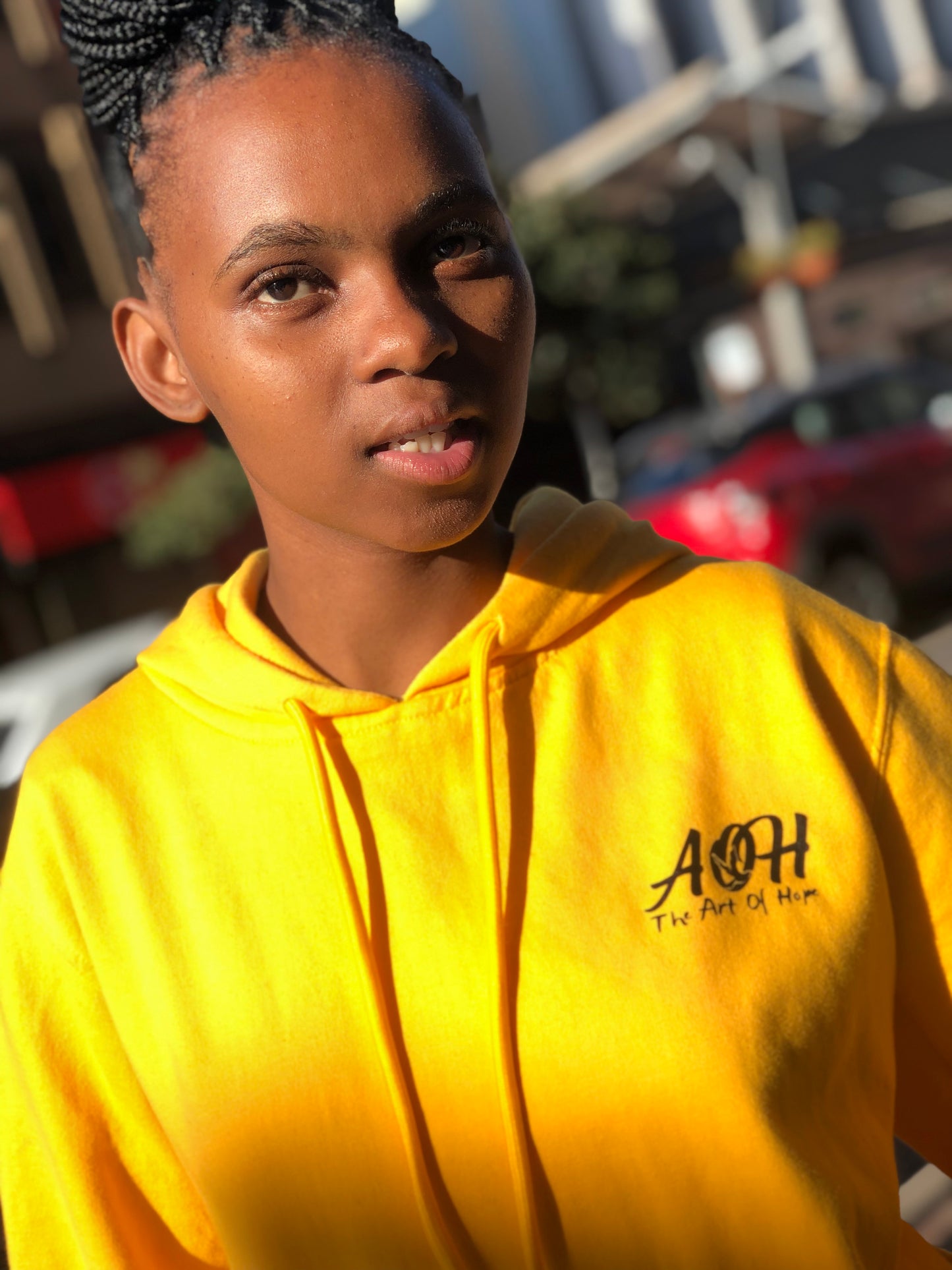 AOH Hoodie